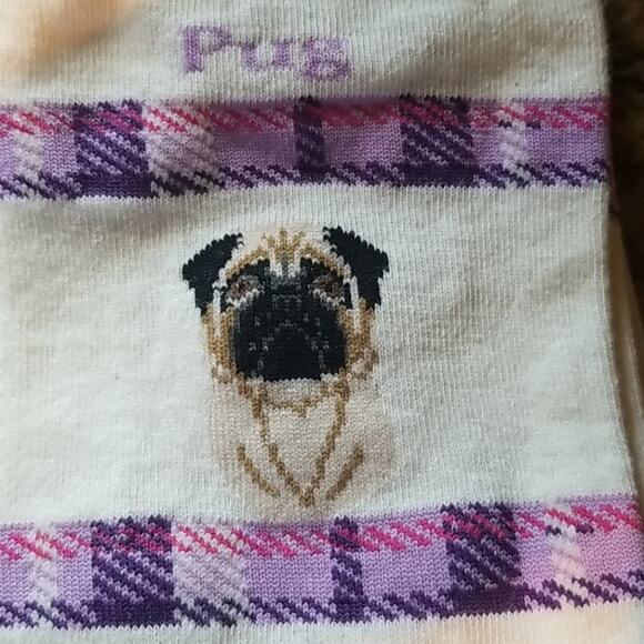 Official AKC Ivory Pug Socks - Picture 7 of 7